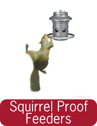 Feeders - Squirrel Proof