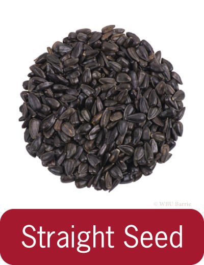 Food - Straight Seed