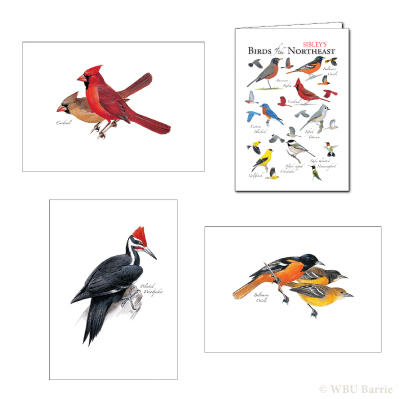 Peterson Illustration Greeting Cards