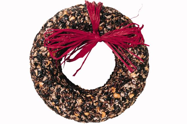 Cranberry Fare Seed Wreath