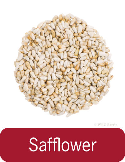 Food - Safflower Seed