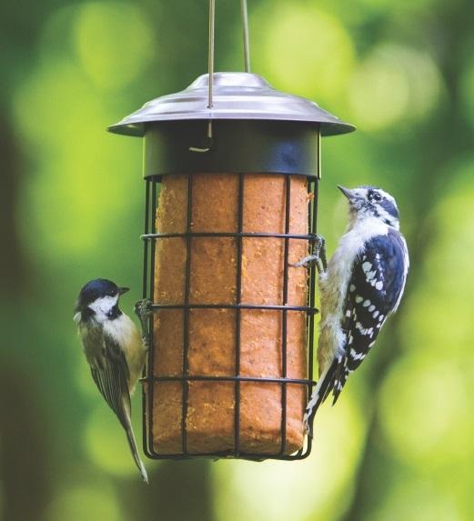 cylinder suet feeder