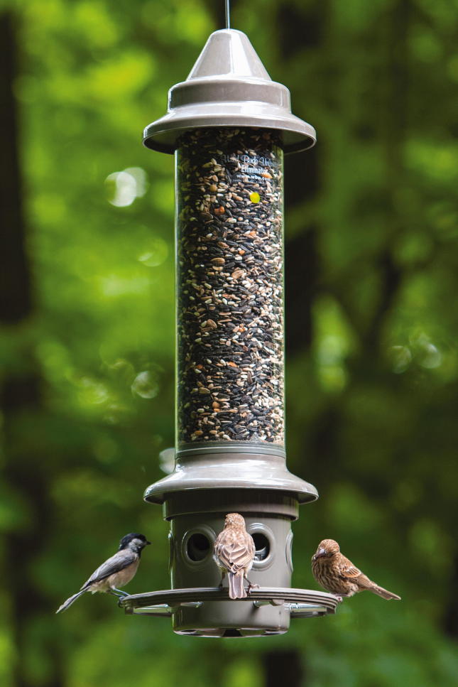 Bird Food Heavy Duty Seed Feeder Squirrel Proof Resistant Hanging Bird Feeders