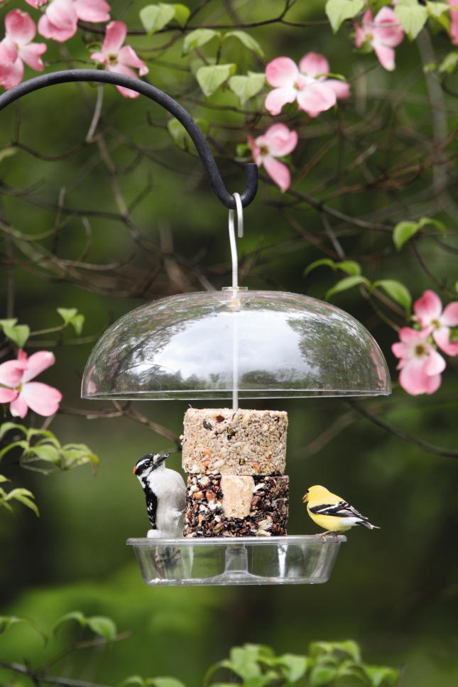 Wild Birds Unlimited Nature Shop