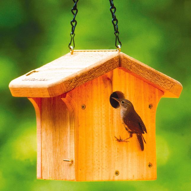 House Wren/Chickadee Nesting Box