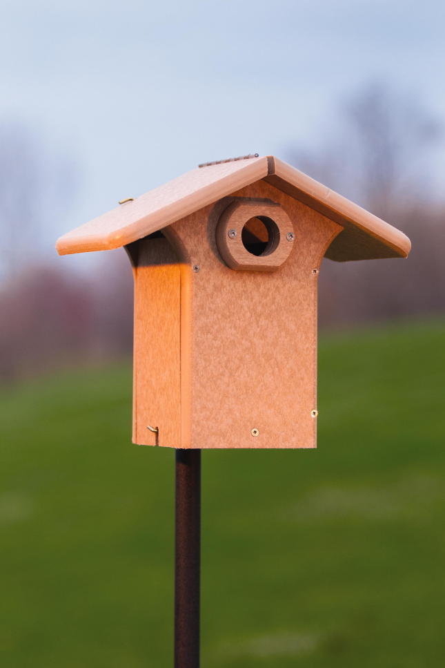 EcoTough Eastern Bluebird Nesting Box