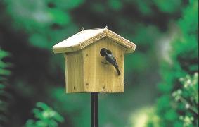 WBU House Wren Chickadee Nesting Box