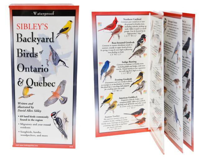 Sibley Pocket Guide Birds of Ontario and Quebec