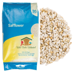 Safflower Seed