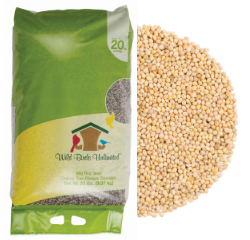 White Millet