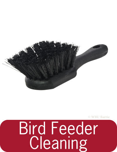 Feeders - Cleaning