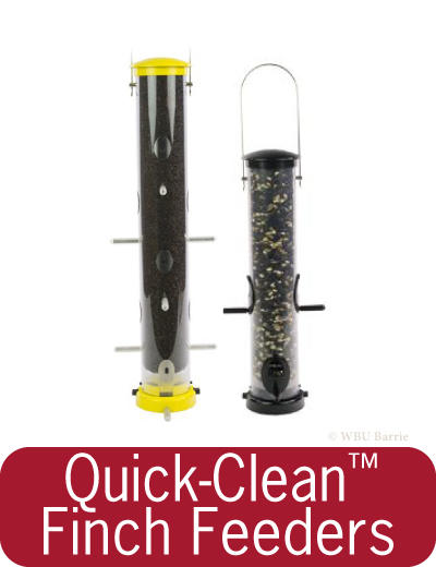 Quick-Clean Finch Feeders