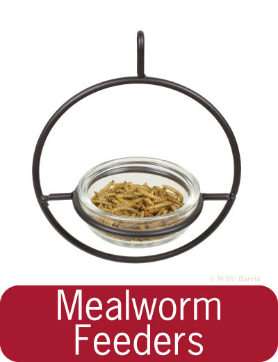 Button - Mealworm Feeder
