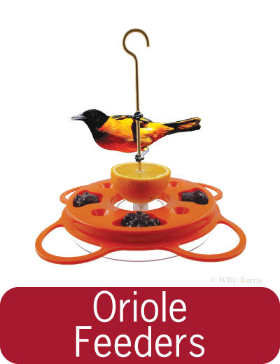 Feeders - Oriole