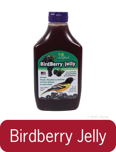 BrdBerry Jelly