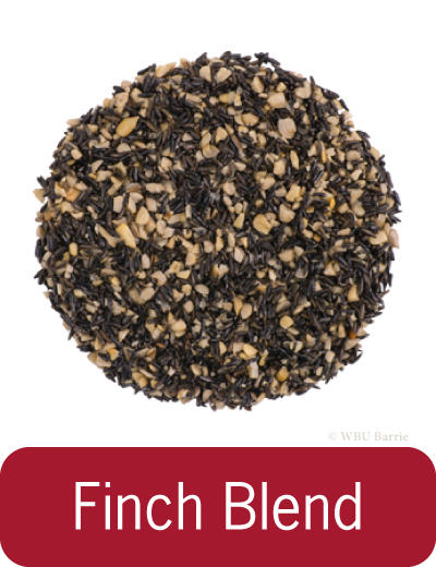 Food - Finch Blend