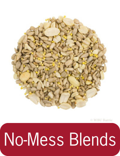 No Mess Blends