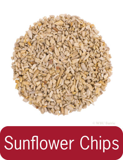 Food - Sunflower Chips