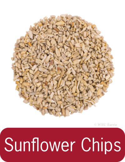 Sunflower Chips