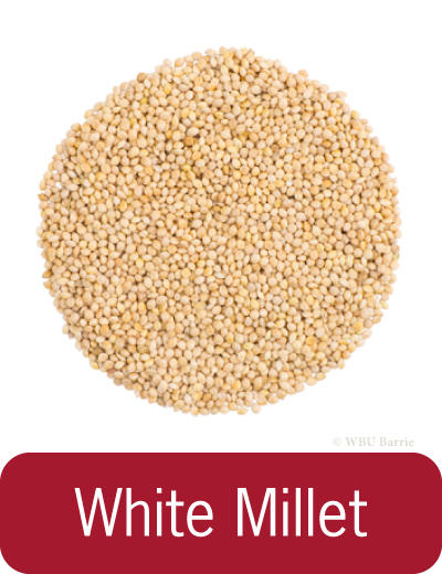 Food - White Millet