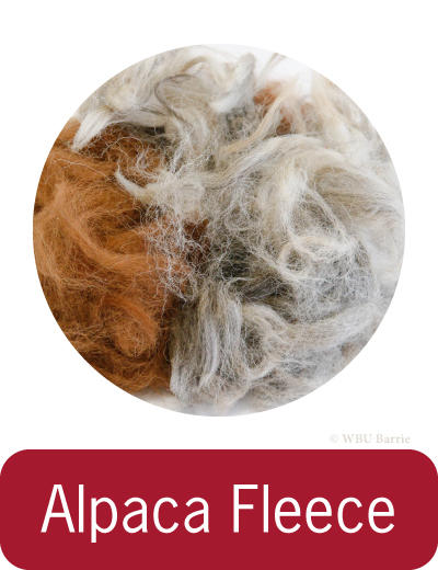 Nesting - Alpaca Fleece