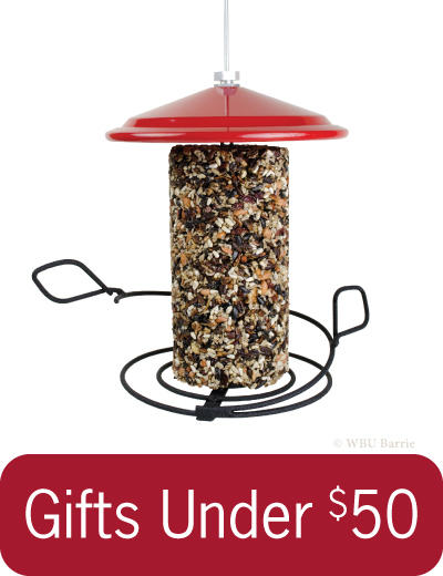 Gift - Under $50