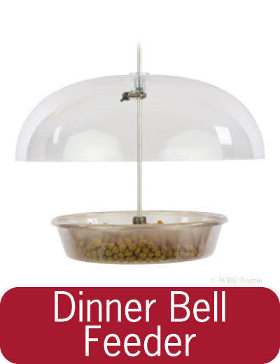 Feeders - EcoClean Dinner Bell