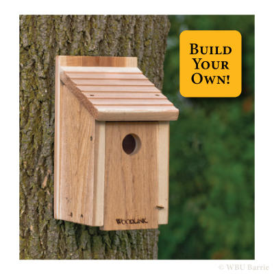 Wild Birds Unlimited Nature, Sparrow Resistant Bluebird House Plans