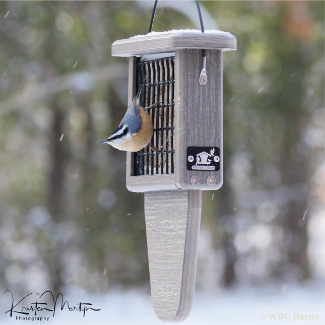 Wild Birds Unlimited Nature Shop