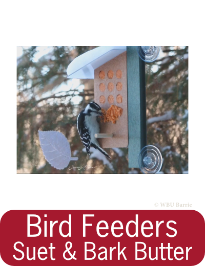 Suet & Bark Butter Feeders