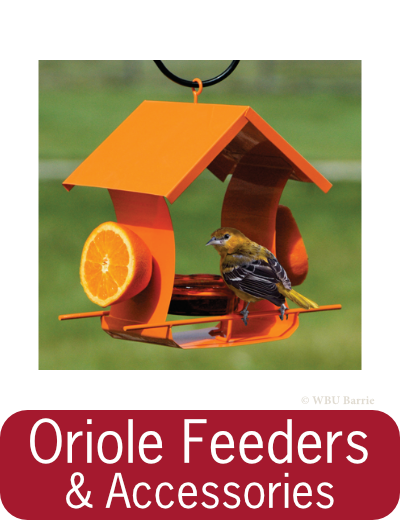 Oriole Feeders