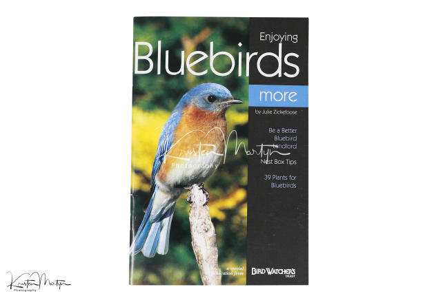BWD - Enjoying Bluebirds
